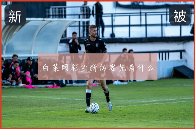 白菜网彩金新访客先看什么