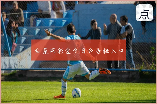 白菜网彩金今日公告栏入口