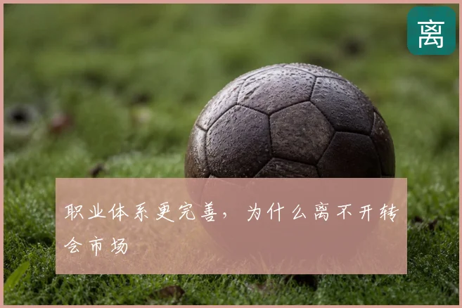 职业体系更完善，为什么离不开转会市场