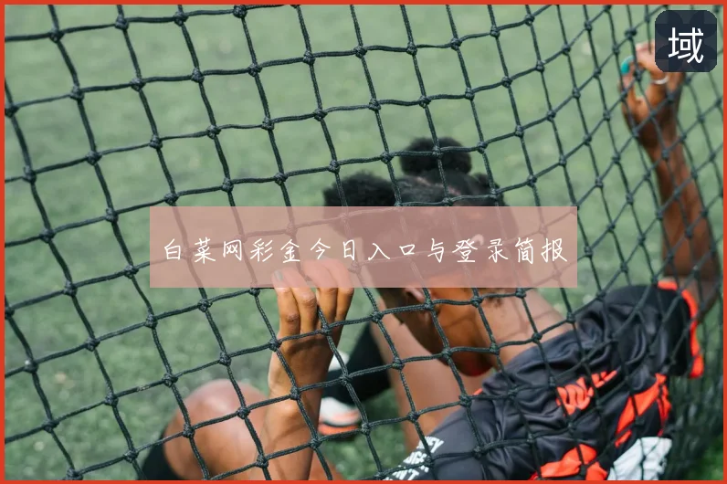 白菜网彩金今日入口与登录简报